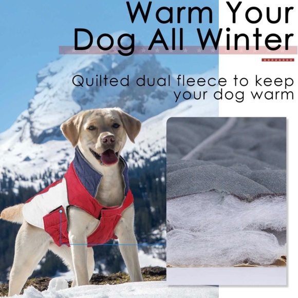 Dog 🐕 Coats - Picture 4 of 7